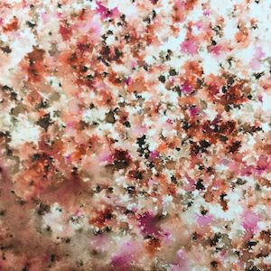 Coloured Stain Infusions: Infusions 15m -  CS21 Terracotta