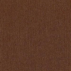 Bazzill 12x12 Bling Cardstock: Flat Broke (Bazzill 12x12 Bling Cardstock)