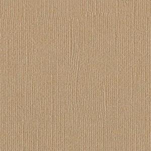 Bazzill 12x12 Bling Cardstock: Blank Check (Bazzill 12x12 Bling Cardstock)