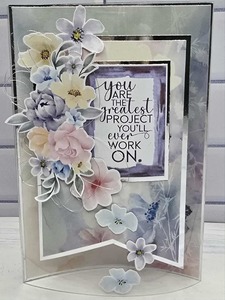 C2524 : Pop Out Acetate Window Card (CK)