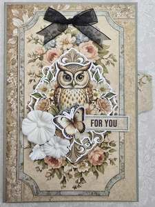 Cardmaking Kits No Instructions: C2523 : Multi Slider Card (CK)