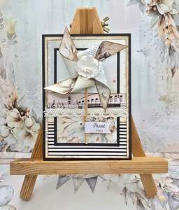 Cardmaking Kits No Instructions: C2531 : Pinwheel Card (CK)