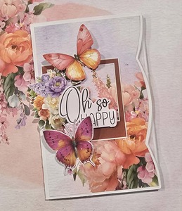 Cardmaking Kits No Instructions: C2616 : Gift Card & Notepaper Folio Card (CK)