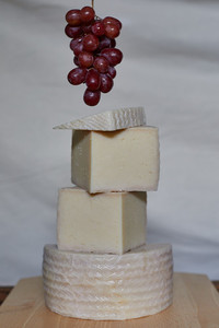 Products: Maraetotara Manchego Sheep Dairy