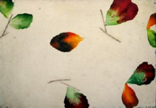 Antonio Murado: Untitled (Anawhata) - 2003