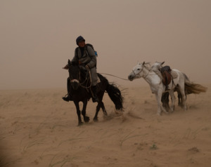 Mongolia: Horse in Sandstorm, Mongolia