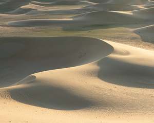 Mongolia: Mongolia VIII