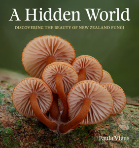 A Hidden World: Discovering the Beauty of New Zealand Fungi