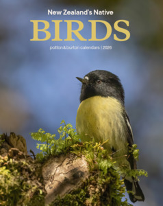 Homeware Books Dvds: 2026 New Zealand's Native Birds Calendar