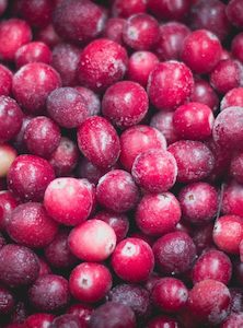 Products: About Cranberries Westland - NZ's Cranberry Farm - West Coast