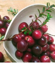 1 Kg Fresh Cranberries – Pre-Order…