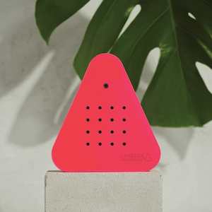 Lakesidebox | Neon Pink