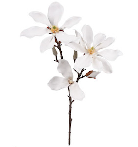 Fairy Magnolia 78cm White