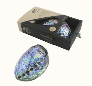 New Zealand: Premium Paua Shell Gift Box