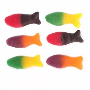 Rainbow Fish