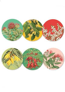 Coasters | Native Botanicals (Set of 6)