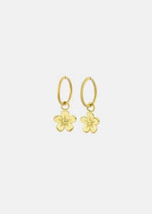 Valentine S Day: Earrings | Daisy Day Sleepers (Gold)