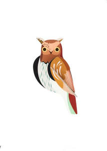 Play Learn 1: Wall Art | Tawny Owl