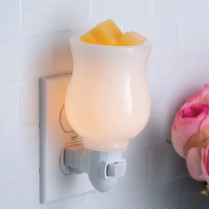 Electric mini plug in warmer - Moonstone Cre8tive-Gems