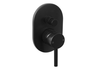 Kitchen: CARBON SHOWER DIVERT MIXER BLACK