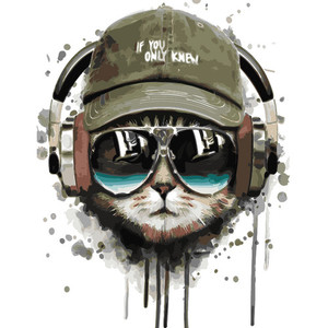 Cool Cat Creative Hero NZ