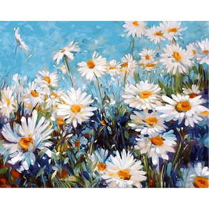 Products: Daisies Creative Hero NZ