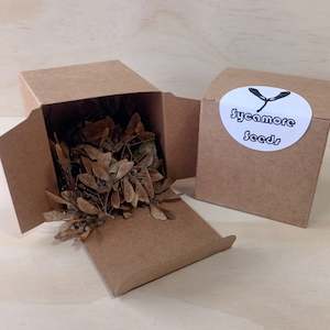 Create Your Own Collage Box: Sycamore Seeds