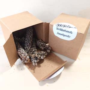 Create Your Own Collage Box: Bottlebrush Seedpods