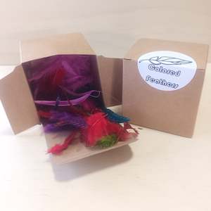 Create Your Own Collage Box: Colored Feathers