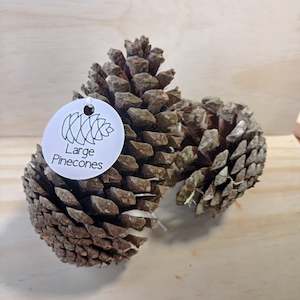 Create Your Own Collage Box: Large Pinecones