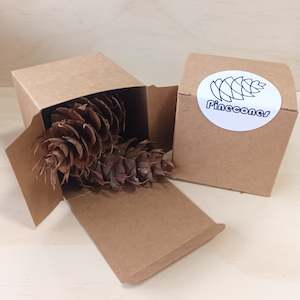Create Your Own Collage Box: Medium Pinecones