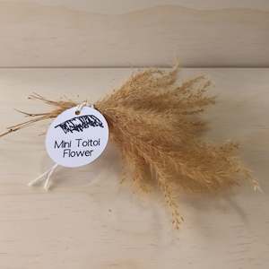 Create Your Own Collage Box: Mini Toitoi Flowers