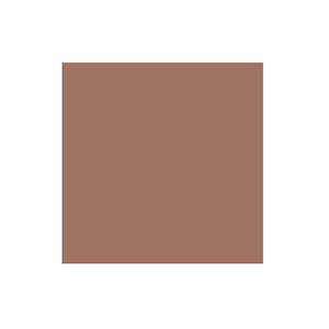 Products: 12x12 Caramel Solid Cardstock (10/pk) website
