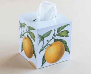 Products: tissue box cover – citrus