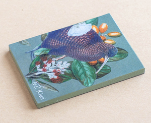 Fridge Magnet – Kiwi