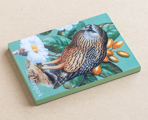 Fridge Magnet – Morepork