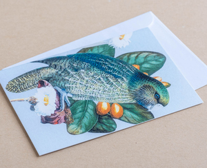 Greeting Card – Kakapo