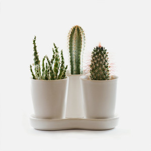 I'm a product Creative Surfaces