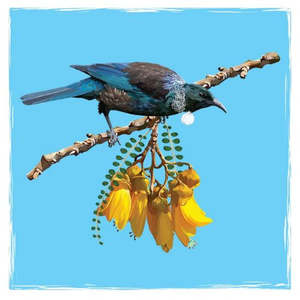 Kiwiana: Native Bird Coaster Set - Tui on Kowhai