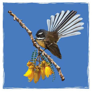 Native Bird Coaster Set - Fantail on Kowhai