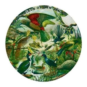 New Zealand Coasters Placemats: Prestige Native Birds of NZ Coaster