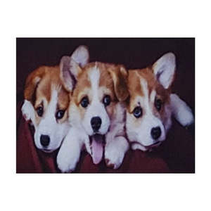 3 Puppies 30x40cm Diamond Art