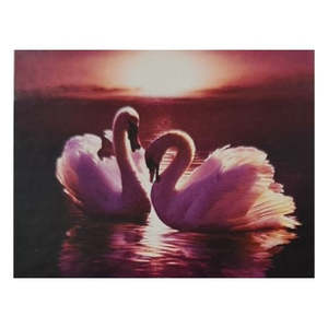 Diamond Art: Swans 40x50cm Diamond Art