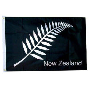 Souvenirs: Material Flag - Silver Fern - 2ft x 3ft
