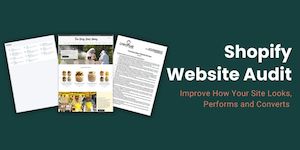 Shopify Website Audit