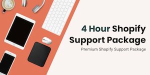 Shopify Support: Business Shopify Support Package (save 10%)