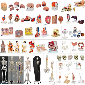 High Quality Science Equipment - Crescendo