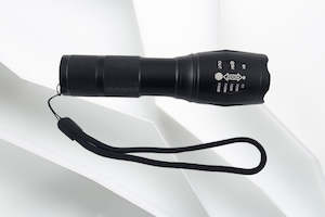 Handheld Torch w Batteries