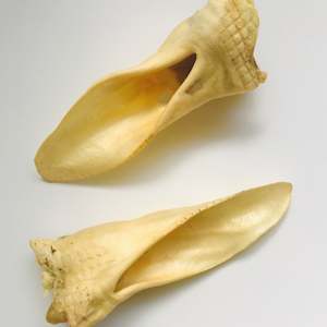 Individual Treats: Goat Ear
