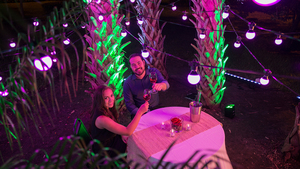 Festoon Lights Coloured – 15m String
